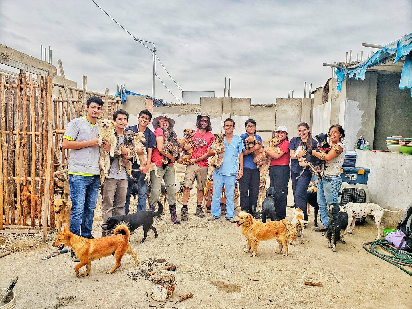 Tami and Craig with fellow volunteers holding rescued dogs at a shelter