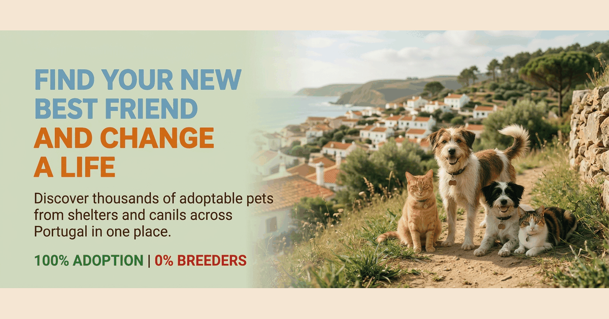 Pets for Adoption in Portugal | Rescue Puppies and kittens & Adults